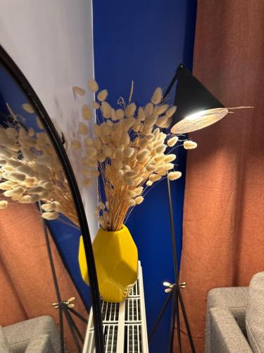 Small 2 room cocoon in a luxury building in Lognes