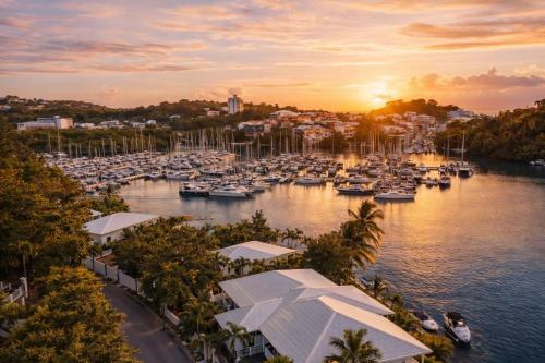 L Opacarophile Studio Marina du Gosier - Location saisonnière - Le Gosier