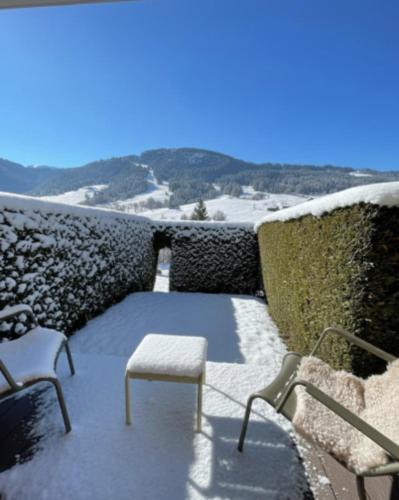 Studio charmant avec terrasse et jardin
