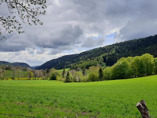 Apkārtne, Gîte À l'ombre du pommier (Gite A l'ombre du pommier) in Ruynes-en-Margeride