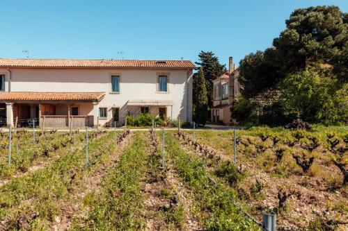 Eco-Friendly Cottage In Frontignan Wine Estate