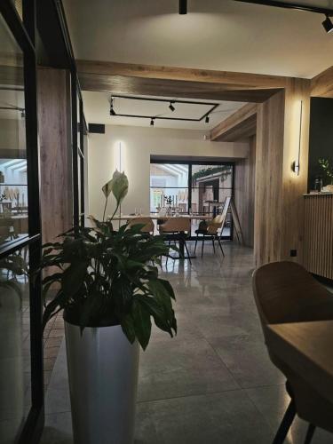Restauracja i hotel Pod Kasztanami - image 13