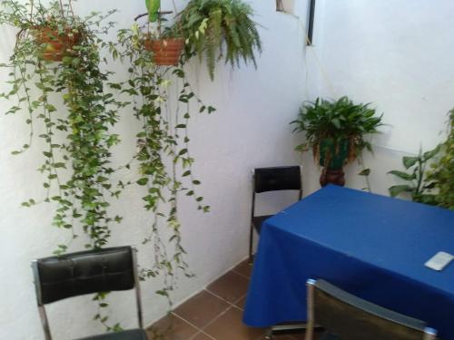 Palermo Candombe House - image 4