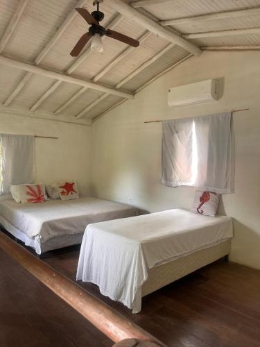 Trem Da Mata – Trancoso, OH