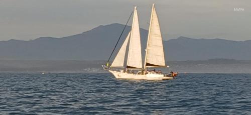 7 on Kloof in Mossel Bay