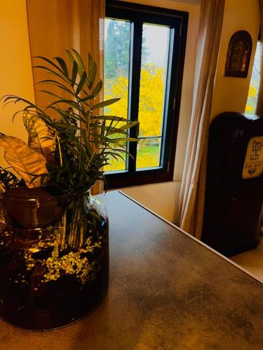 L'Ostal des Embruscalles - Claret