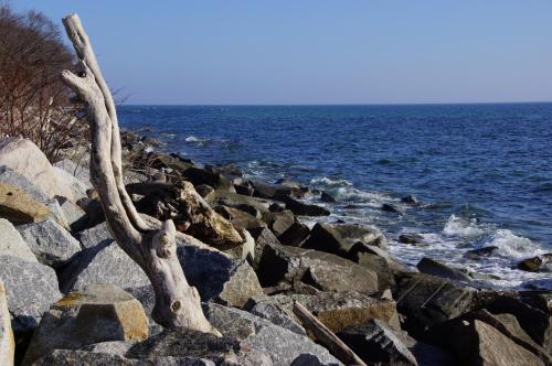 Urlaub auf der Insel Rügen