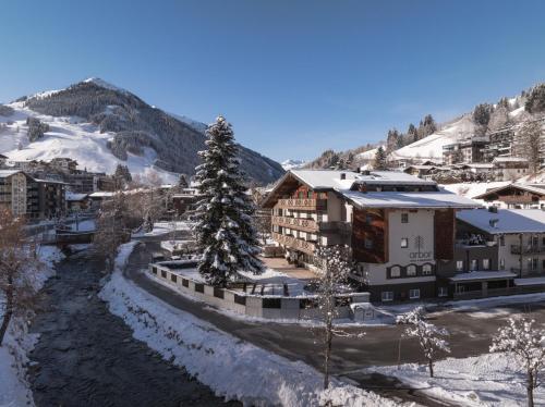 ARBOR Hotel & Apartments - Hôtel - Saalbach-Hinterglemm