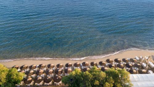 Golden Star City Resort - image 2