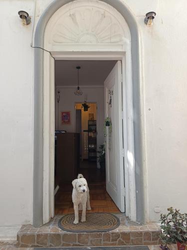 Casa Tribu in วินา เดล มาร์