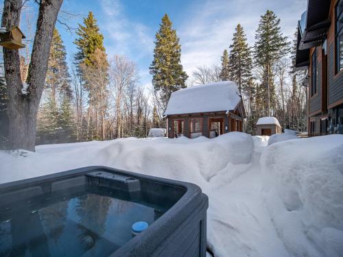 The Bear - Escapade en Nature avec Spa in 小里維爾-聖弗朗科斯 (QC)