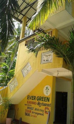 Ever Green Mirissa