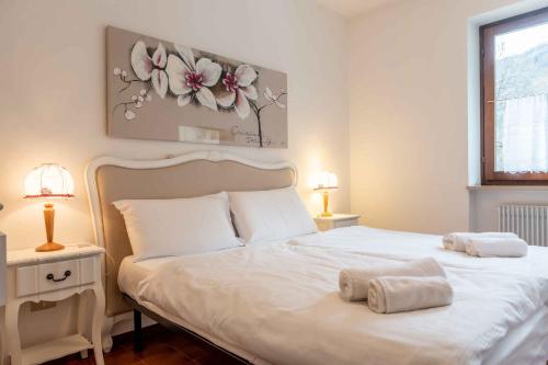  Apartments in Pieve di Ledro - Ledrosee 22645 in Ledro