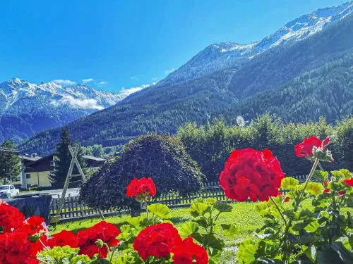 Krammer XL in Neukirchen am Großvenediger, Österreich