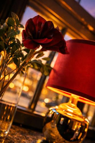 Sleephotels Suite Garde, Hamburk (fotografie 7)