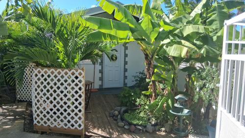 Maisonnette Ti Édèn - Location saisonnière - Bouillante