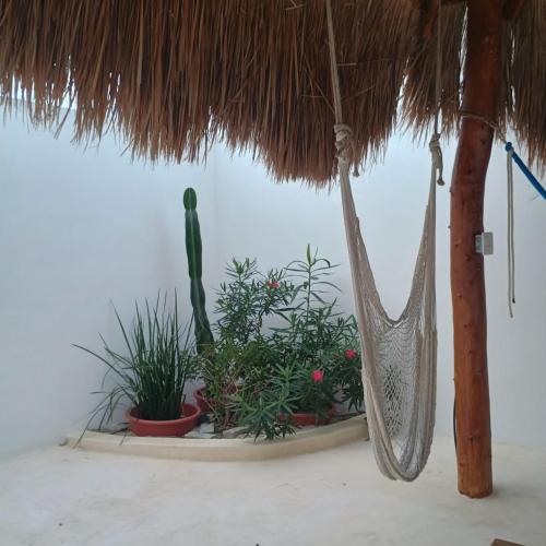 Casa Loto A in Chelem, Mexico