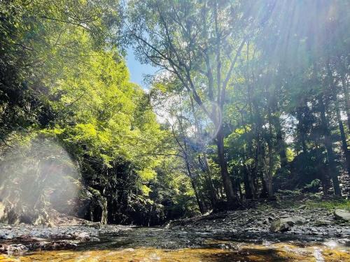 Green Village - Vacation STAY 02411v