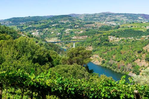 Cherry Douro Hill gîte à louer Covelas