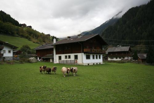 Ferienhaus Ruggenthaler