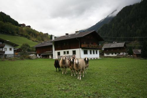 Ferienhaus Ruggenthaler