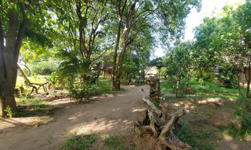 Dārzs, Eco Shamba Kilole Lodge in Utende