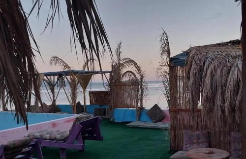 Salt water Camp Nuweiba in Nuweiba