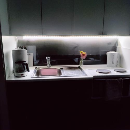 Puisto mökki (Puisto mokki) in راوما