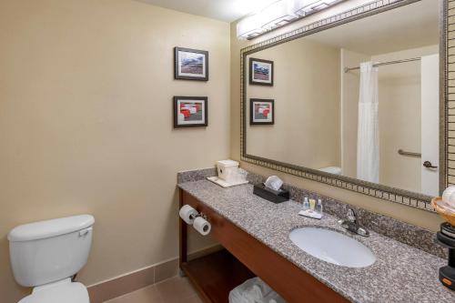 Comfort Inn & Suites Lincoln Talladega I-20 - image 3