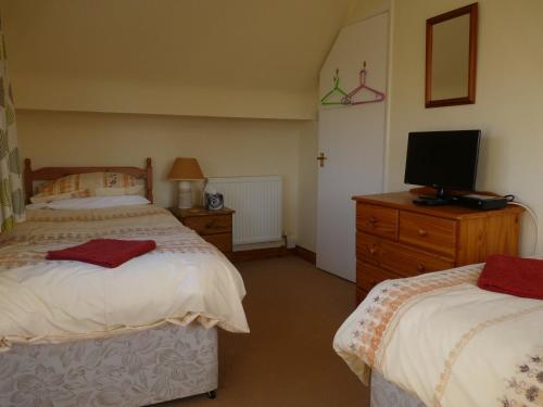 Cosy Twin Room in Brecon