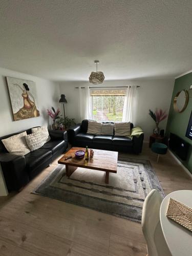 3 bedroom apartment in Камбернолд