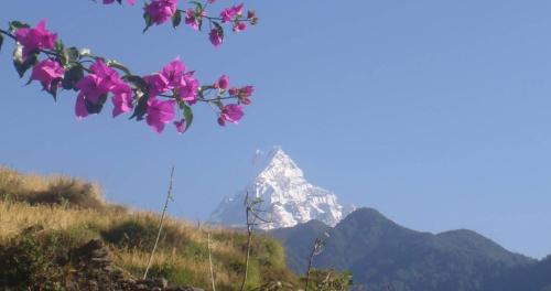 Kimche Guest House - image 5