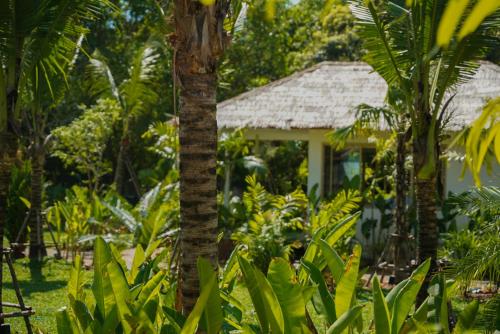Cocco House – Ao Nang, CO
