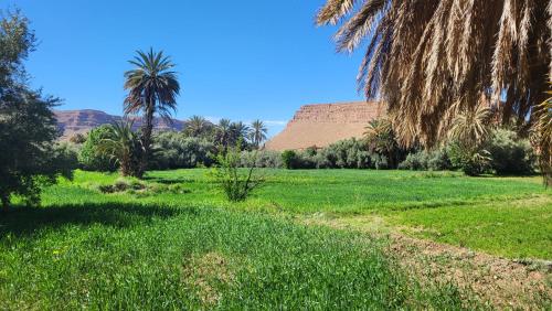 gite traditionnel berbère chez Naima (gite traditionnel berbere chez Naima) in Lac Yasmins
