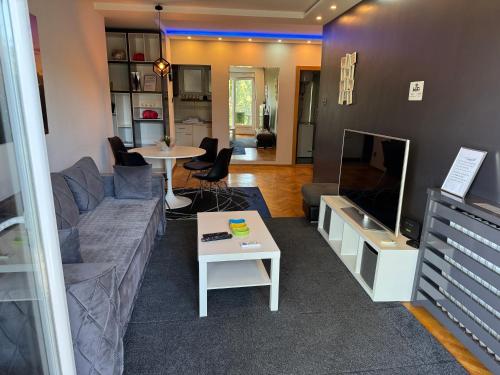 Apartment Vračar