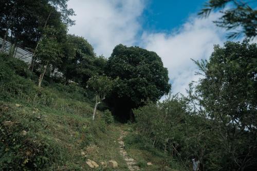 Surrounding environment, Divine Door Wellness Center in Mechi