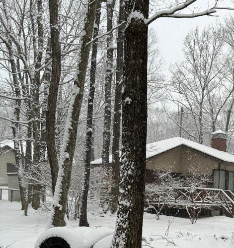 森の中で仲間や家族とゆっくり過ごせる温泉付コテージ 会員制別荘地で広大なプライベート空間 ペット可 那須高原りんどうハウス