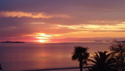 Atardeceres de Colonia 508