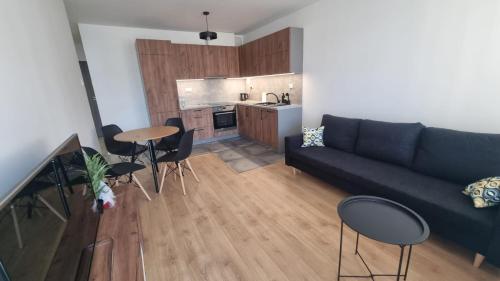Sadyba Apartament FAKTURA in 新松奇