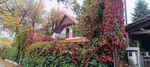 Famiy &Pet Friendly villa in Nea Vrasna-Big Garden& -BBQ WalK to Sea # – khách sạn tại New Vrasna