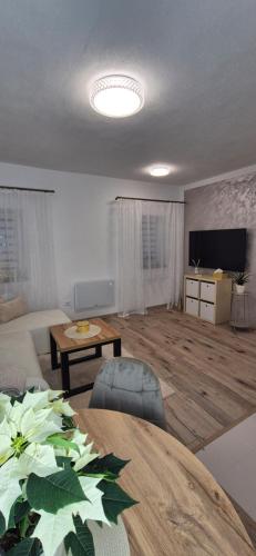 Krkonošský apartmán DELUXE (Krkonossky apartman DELUXE) in Vičova Nad Jizeru
