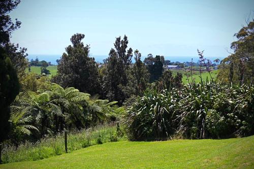 Garden, Kotare View- Studio accommodation, Tataraimaka in Okato