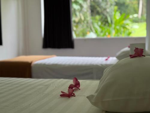 Anima Retreat Bali - Tap to explore photos