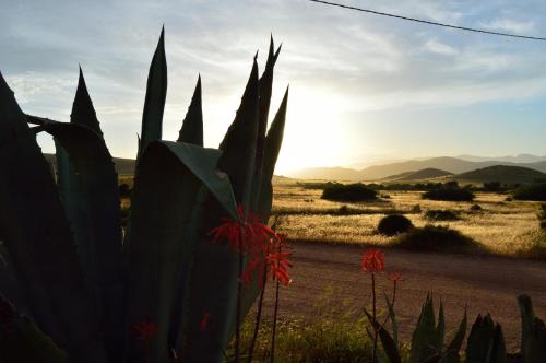 Cortijo el Campillo