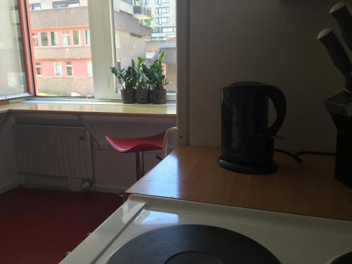 Linné Hostel - image 8