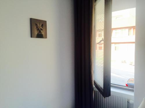 Linné Hostel - image 6