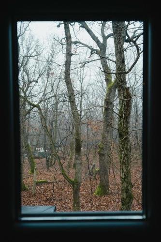 Nature Nest Noszvaj in Noszvaj
