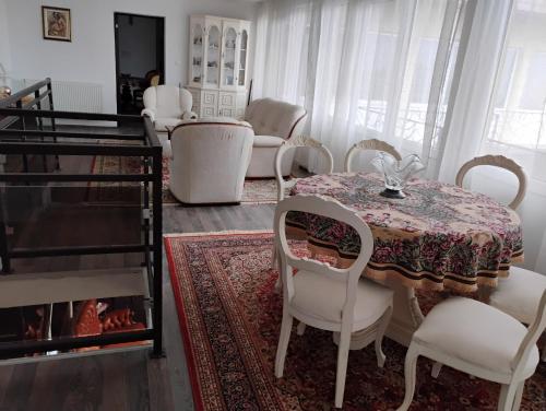 Casa Sulfina in Aninişu De Vale
