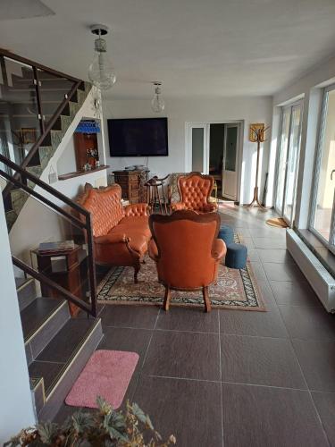 Casa Sulfina in Aninişu De Vale
