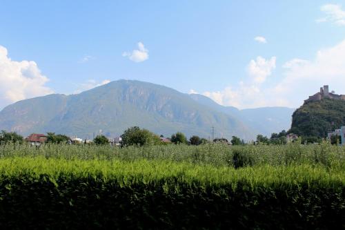 Gardenhotel Premstaller - image 12